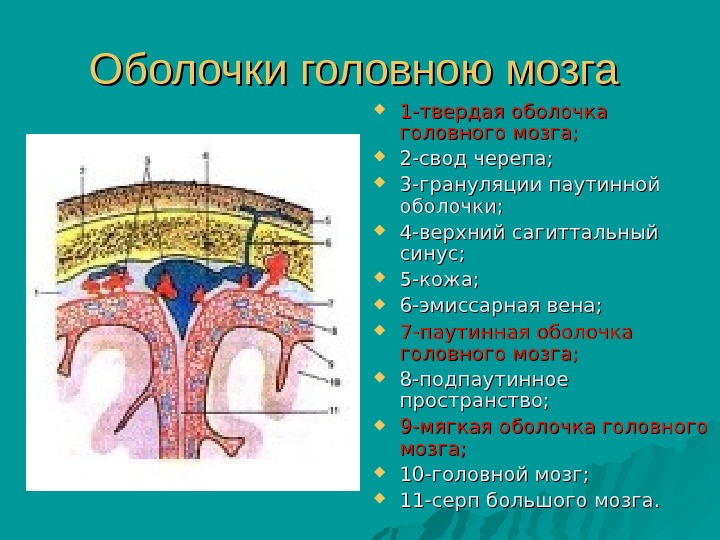 В картине ликвора при отогенном менингите