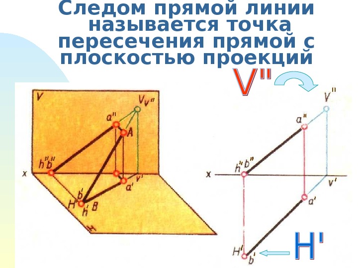 Следы прямой