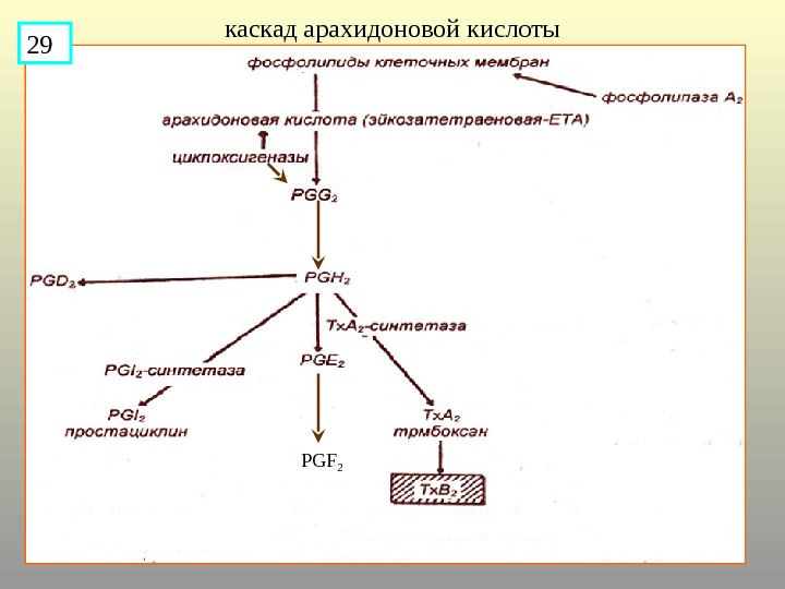 Составьте схему кислот