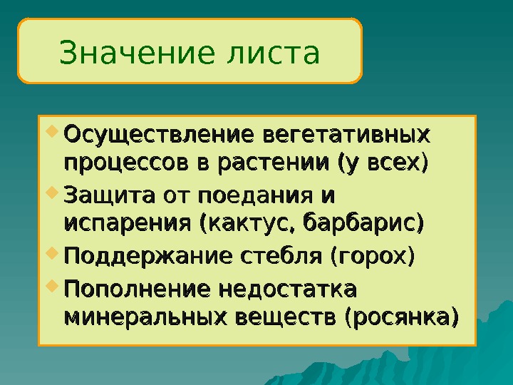 Каково значение листьев. Значение листа. Значение листьев. Значение листа для растения. Значение листа кратко.