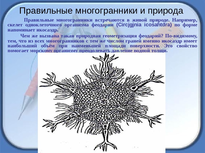 Многогранники в живой природе презентация