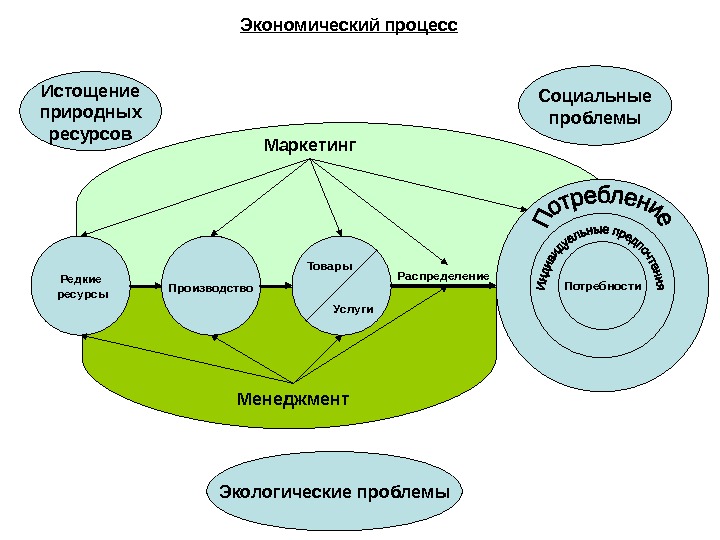 Зеленое управление проектами презентация