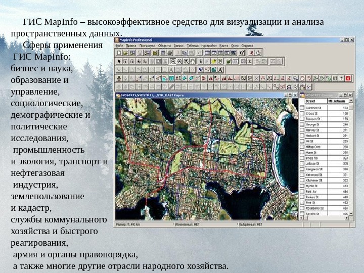 Гис образование. Геоинформационная система MAPINFO. ГИС мапинфо. Пространственный анализ данных в ГИС. ГИС MAPINFO professional.