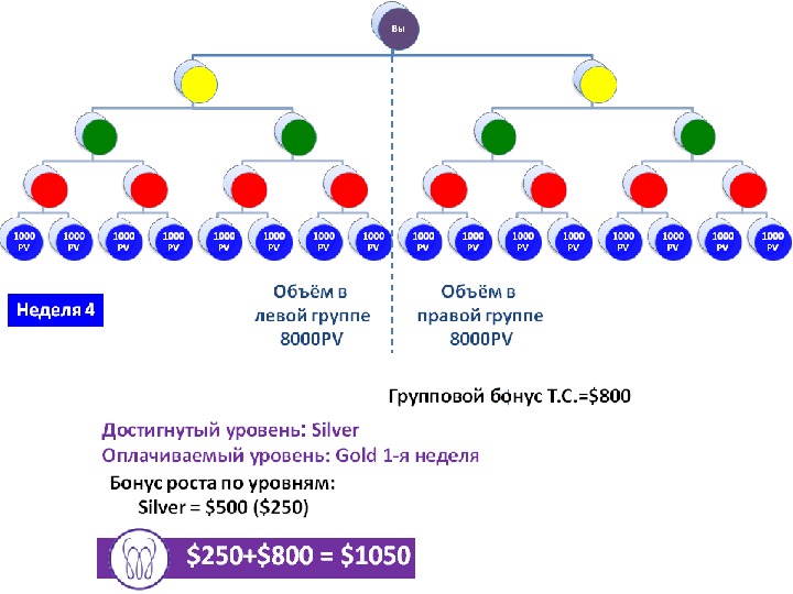 Маркетинг план force group