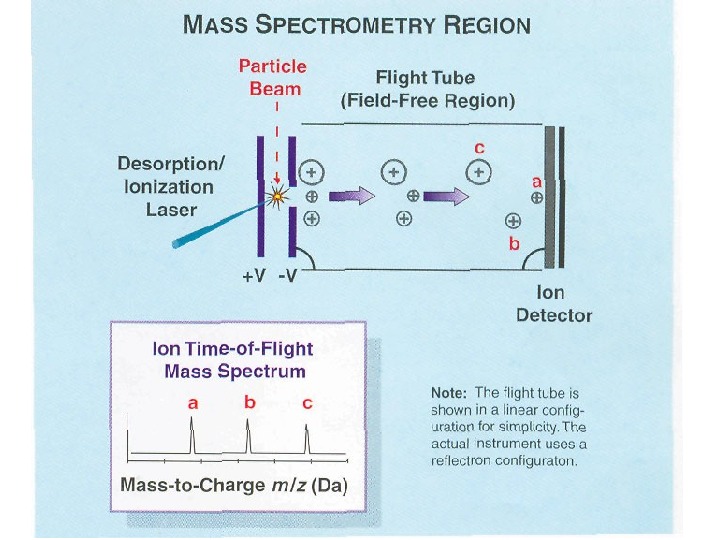 Масс спектрометрия схема