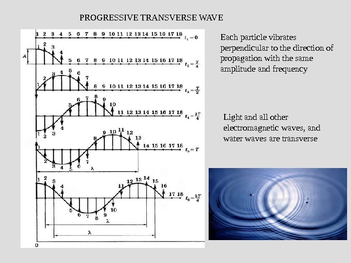 Презентация mechanical wave