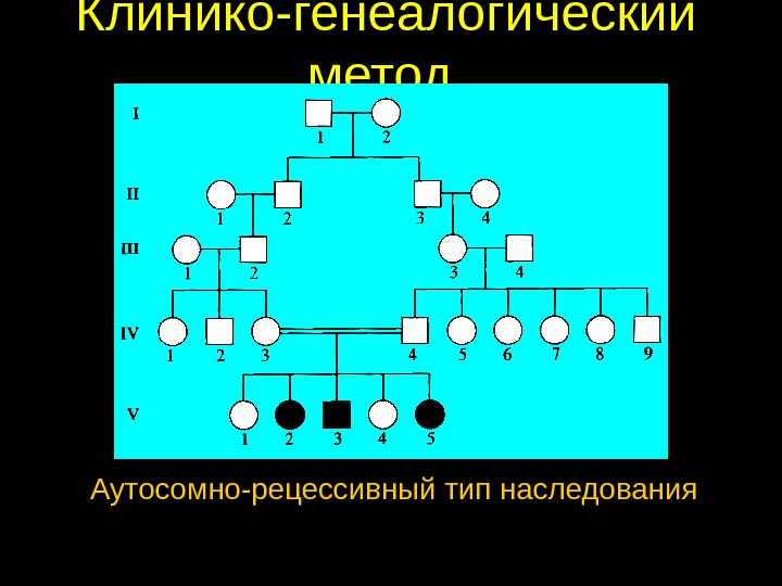 Типы наследования признаков генеалогический метод