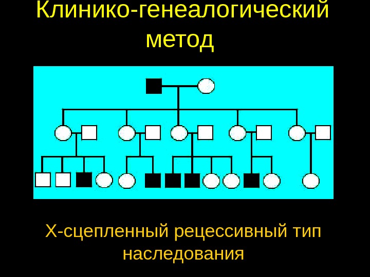 Генеалогический метод фото