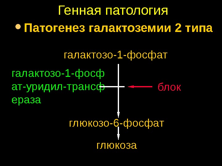 Галактоземия презентация по генетике