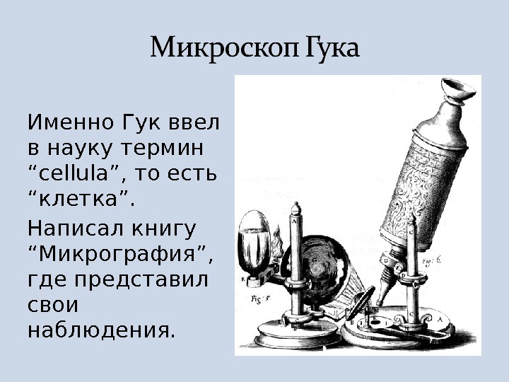 Микроскоп гука фото