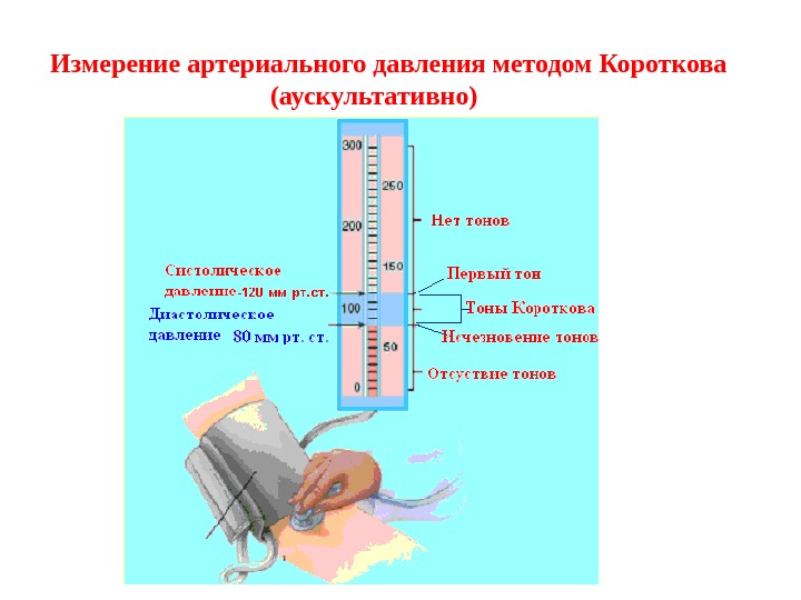 Методы измерения артериального давления проект по физике 10 класс