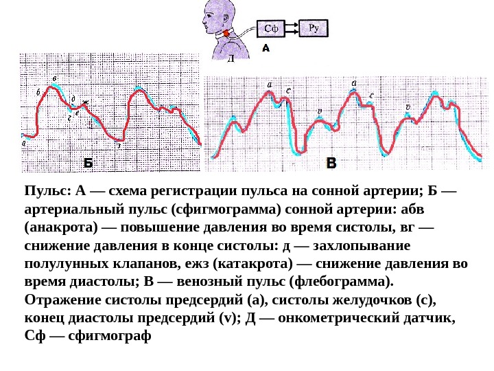 Схема пульс пары