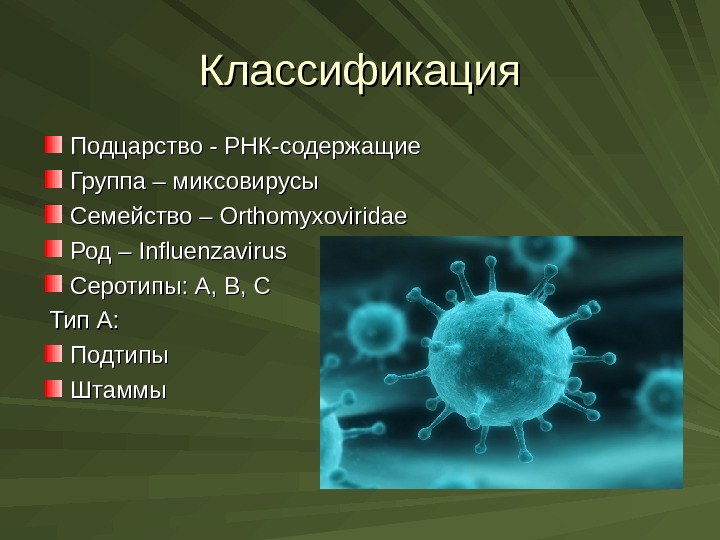 Какие возбудители гриппа. Возбудитель гриппа Orthomyxoviridae. РНК-содержащий вирус сем. Orthomyxoviridae. Возбудители гриппа ортомиксовирусы. Ортомиксовирусы классификация.