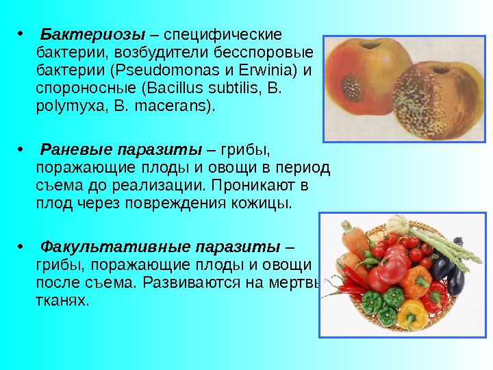 Микробиология продуктов питания презентация