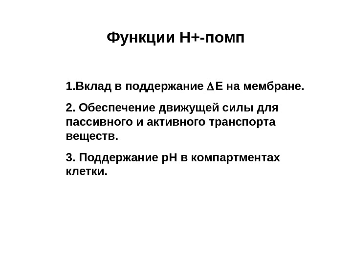 Вклад в поддержание. Периферин локализация.