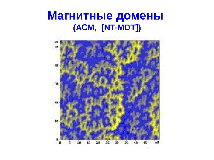 Магнитные дом. Магнитные домены. Магнитные домены под микроскопом. Домены в железе. Электрический домен это.