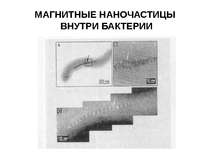 Магнитные наночастицы презентация