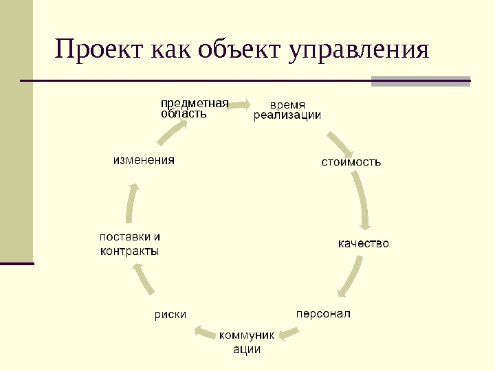 1 проект как объект управления