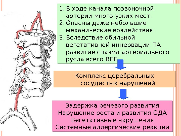 Сегменты позвоночной артерии