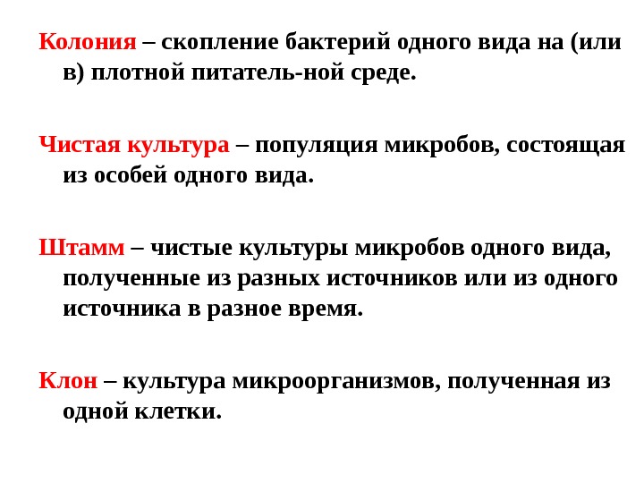 Чем отличаются колонии. Понятие о чистой культуре. Определение вида штамма колонии чистой культуры бактерий. Колония это микробиология. Понятие вид штамм колония чистая культура микроорганизмов клон.