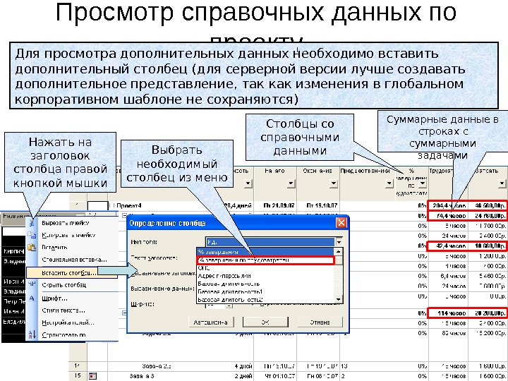 Суммарными данными. Справочник данных. Столбец идентификаторов в MS Project. Порядок справочных данных. Функция справочных данных.