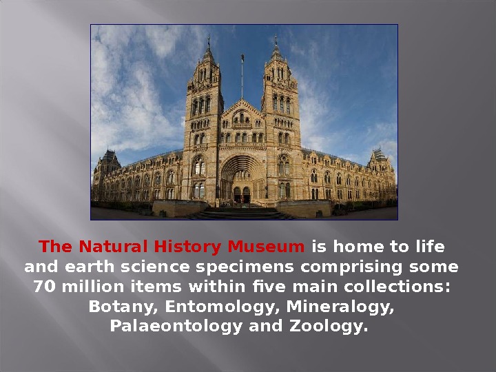 Музей на английском. The natural History Museum in London презентация. Natural History Museum London презентация. Музей естествознания Лондон презентация. Музеи Лондона на английском.