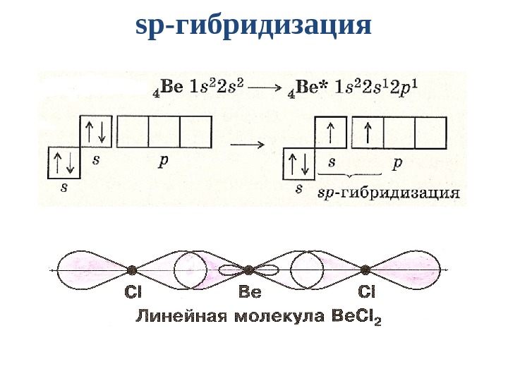 Sp гибридизация связи. Метод валентных связей becl2. Becl2 гибридизация. SP гибридизация becl2. Sp2 гибридизация молекулы углерода.