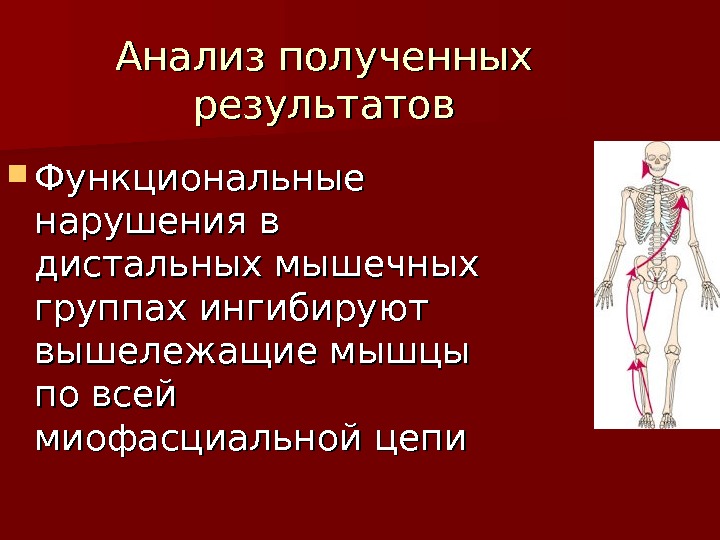 Миофасциальные цепи схема