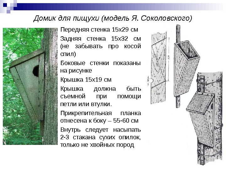 Скворечник для трясогузки чертеж