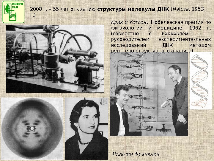 Открытие структуры днк презентация