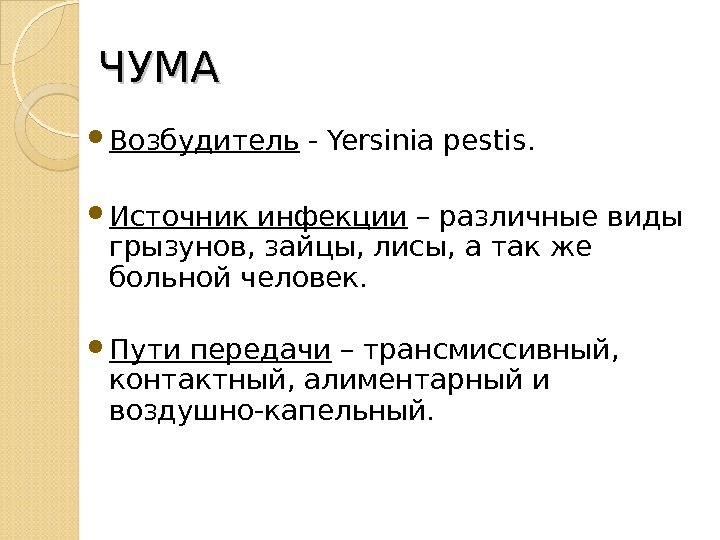 Возбудитель чумы