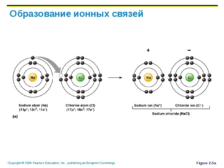 Схема образования ионов калия