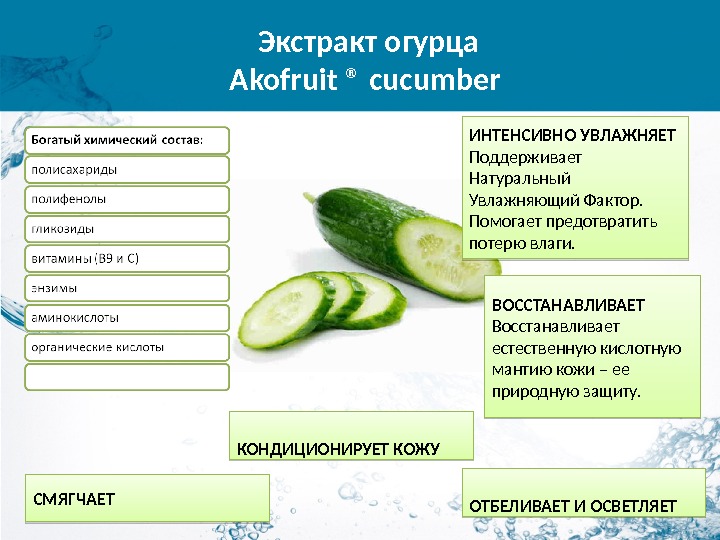 Состав огурца. Химический состав огурца. Из чего состоит огурец химия. Из чего состоит огурец. Состав огурца свежего.