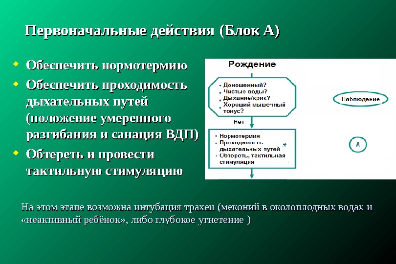 Умеренное положение. Протокол реанимации новорожденных. Протокол реанимационных мероприятий бланк. Протокол реанимации взрослых. Нормотермия это в патологии.