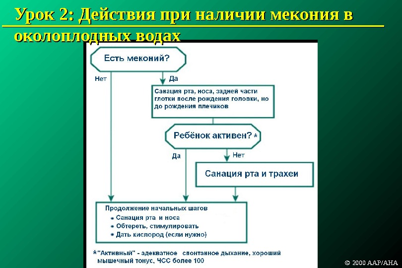 Вкладыш карта первичной и реанимационной помощи новорожденному в родильном зале