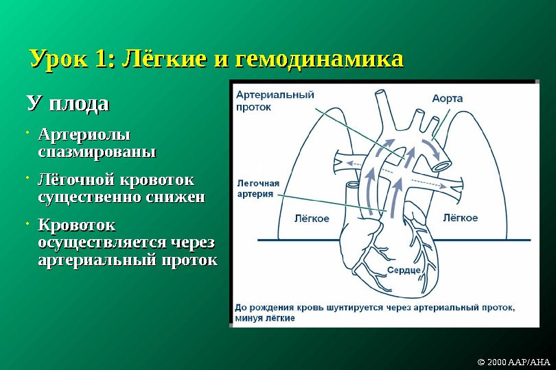 Открытый артериальный проток у детей