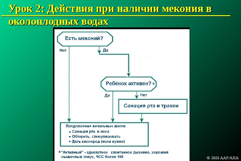 Протокол реанимационных мероприятий образец