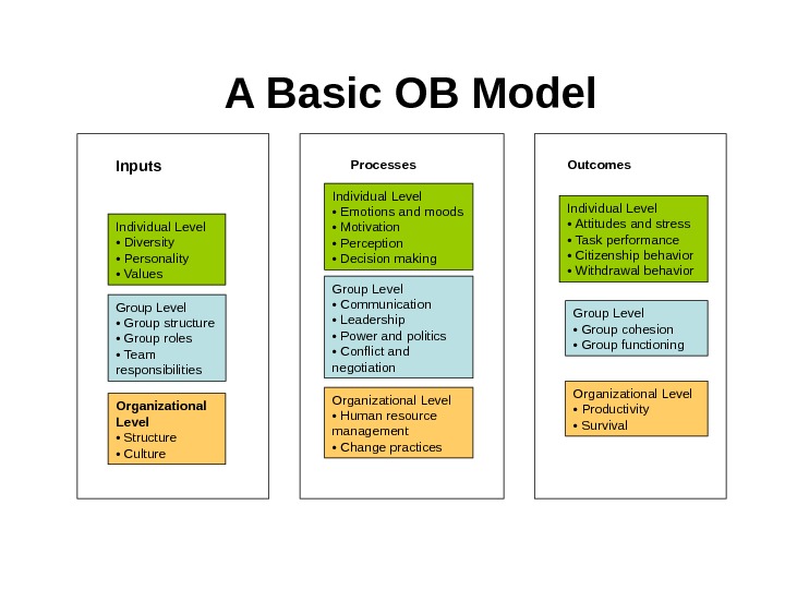 A Basic OB Model Individual Level