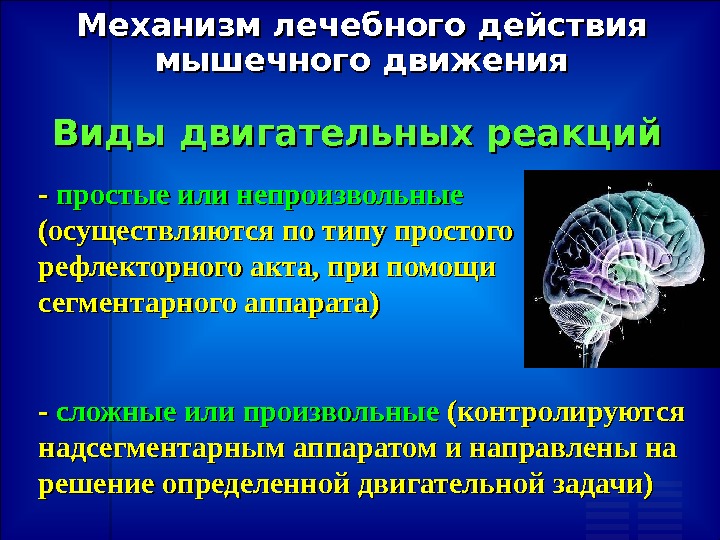 Лфк для студентов презентация