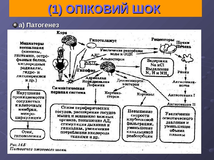 Патогенез кори. Схема развития ожогового шока. Патогенез ожогового шока схема. Схема патогенеза ожоговой болезни. Основной механизм развития ожогового шока.