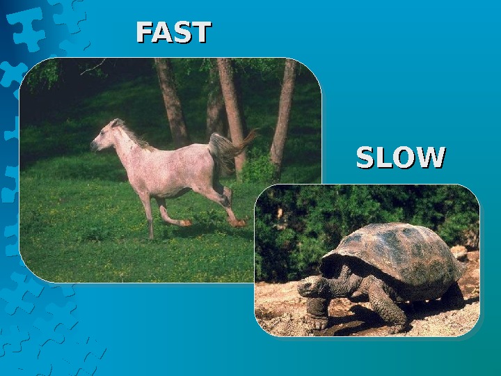 Slow machines 1 lesson plan 4 grade презентация