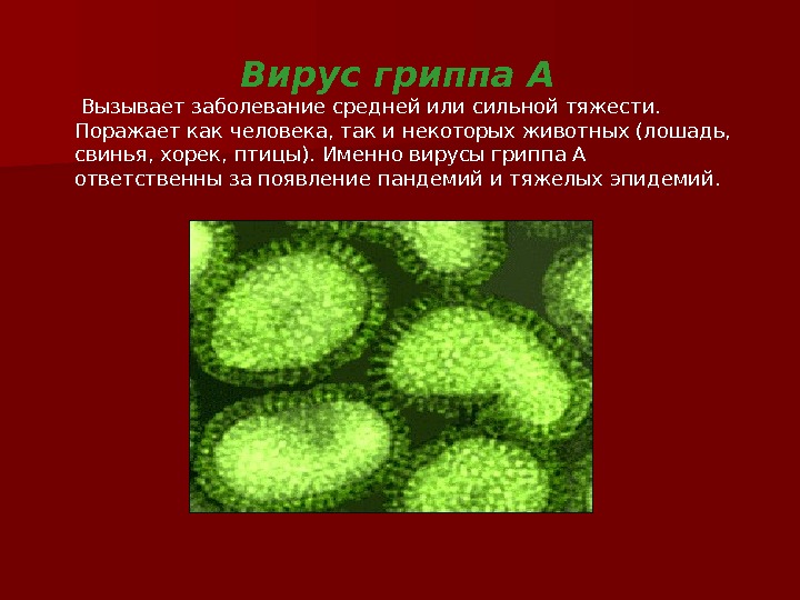 Заболевание грипп б. 2 Группы вирусов. Типы вируса гриппа. Вирус гриппа возбудитель. Микробы возбудители гриппа.