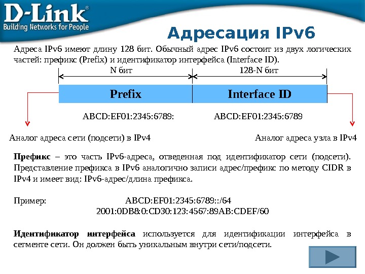 В состав ipv4 адреса входят