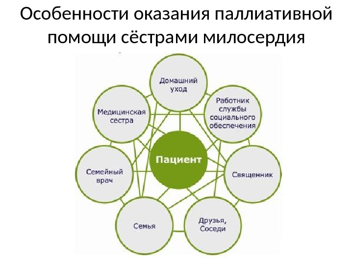 К видам паллиативной помощи относится тест