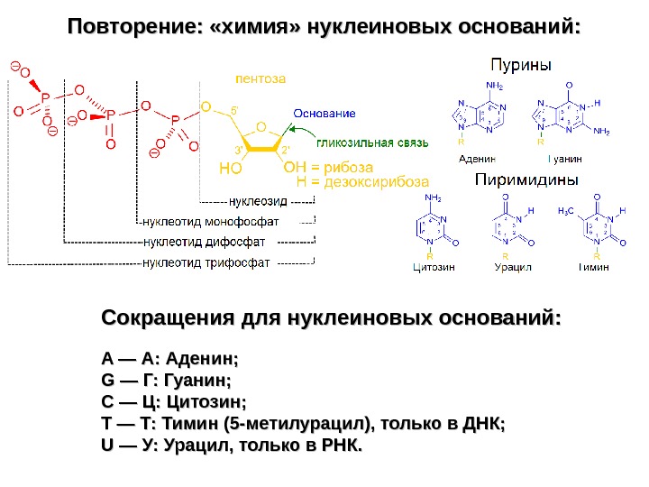 Книга по химии для поступающих в вузы. Книга повторяем химию феникс. Полимеризация метилметакрилата инициируемого пероксидом бензоила. Химию повторяем. Повторить химию.