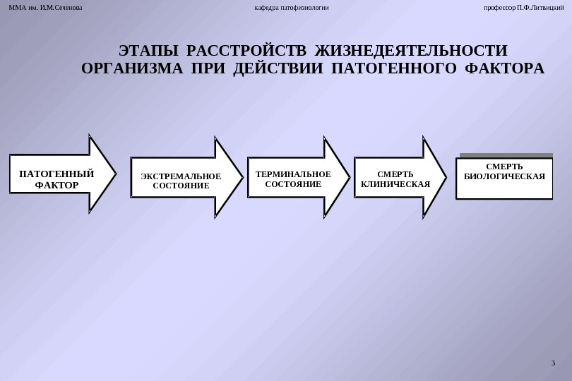 Адаптивные возможности человека в экстремальных условиях презентация