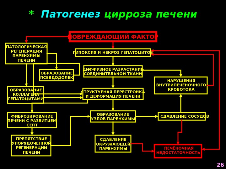 Патогенез гепатита с схема