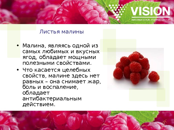 Малина листья лечебные. Малина полезные свойства. Полезные свойства Малин. Лечебные свойства малины. Полезные качества малины.