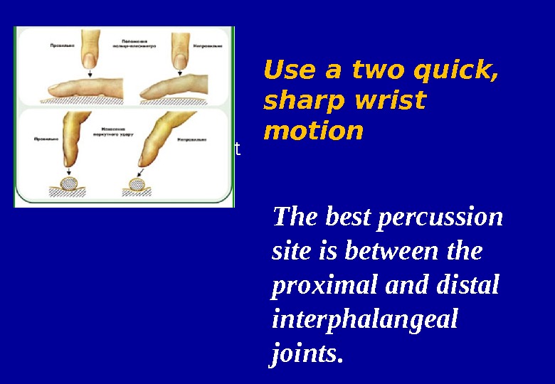Percussion of the lungs Palpation of the chest