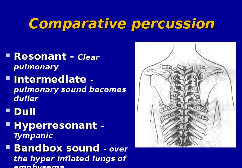 resonance lung sounds